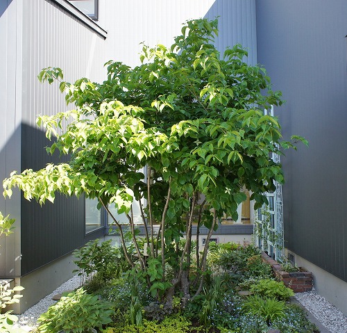 f0205733_12555961.jpg