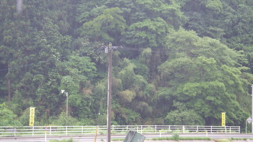 c0300035_1041574.jpg