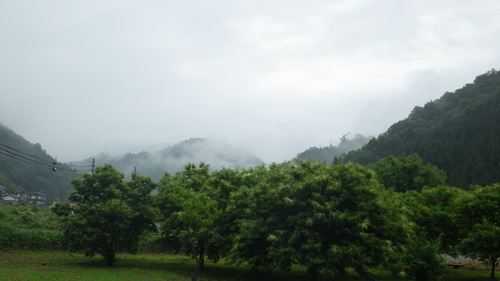 c0300035_8544641.jpg