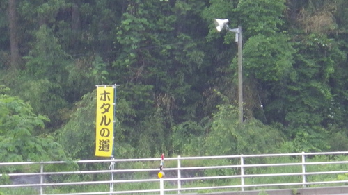 c0300035_9562966.jpg