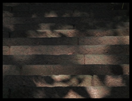d0185744_5575930.jpg