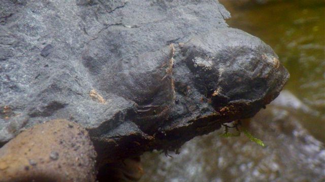 e0290546_22265567.jpg