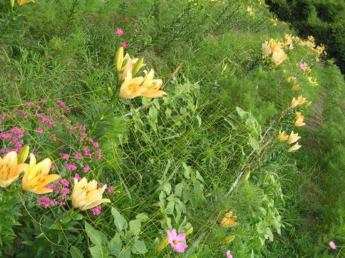 c0283850_13332727.jpg