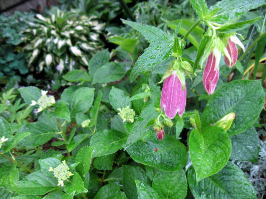 c0147952_23301685.jpg