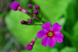 b0086858_6303674.jpg