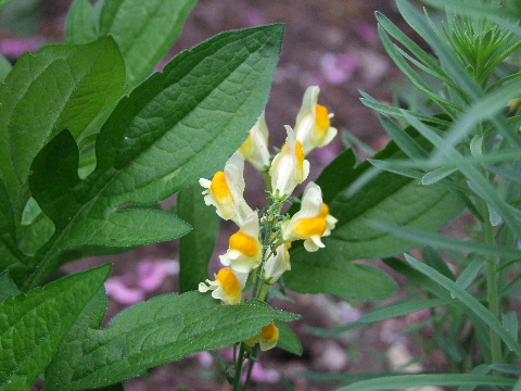 e0088260_22132969.jpg