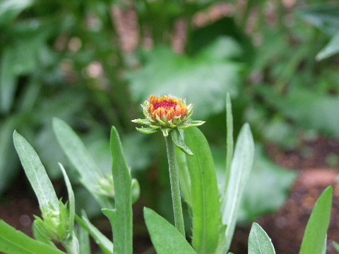 e0088260_22141100.jpg