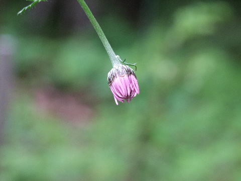 e0088260_22141563.jpg