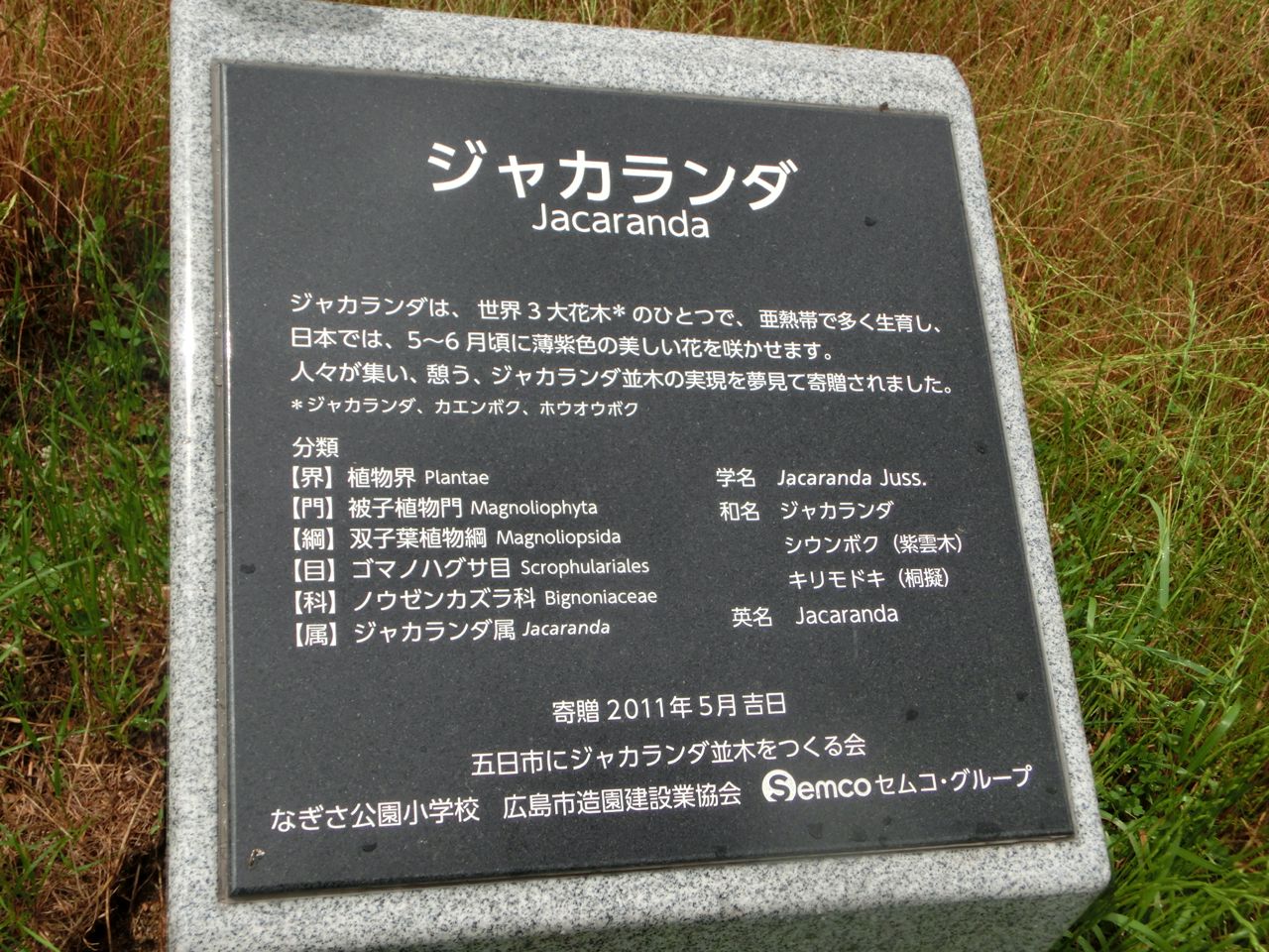 d0105063_1627037.jpg