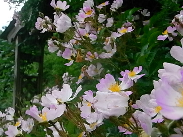 a0146070_643192.jpg