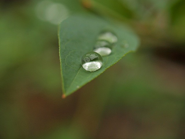 f0234172_1348370.jpg
