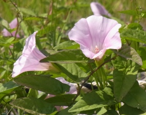 f0233876_841140.jpg