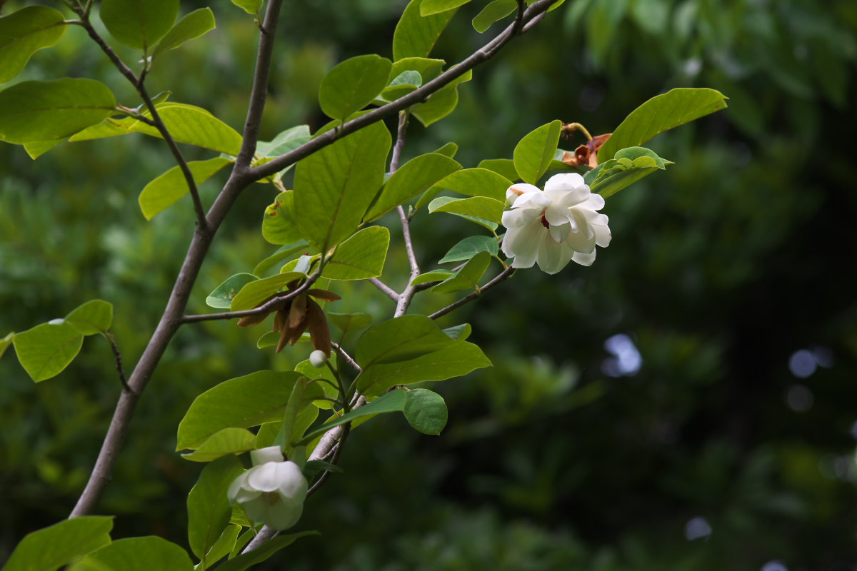 a0083081_9125628.jpg