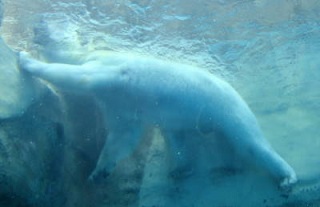 c0122791_2033073.jpg