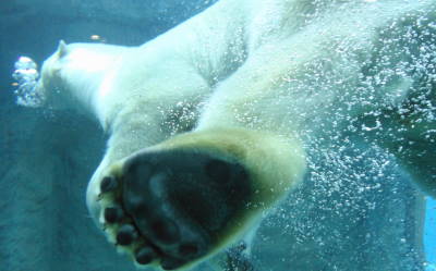 c0122791_20364225.jpg