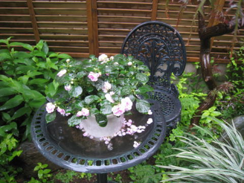 d0046702_11531251.jpg
