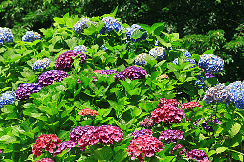 b0014607_19312950.jpg