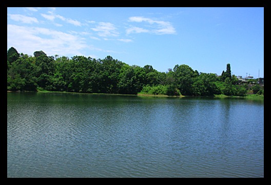 b0014607_1932763.jpg