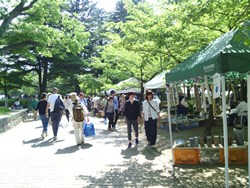 d0145907_212208.jpg