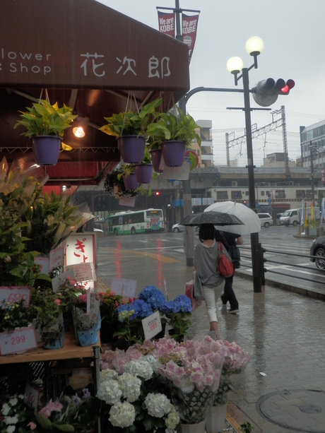 c0062511_23113355.jpg
