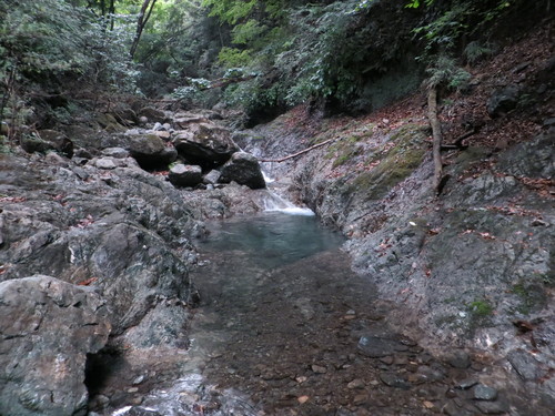 b0121015_13133078.jpg