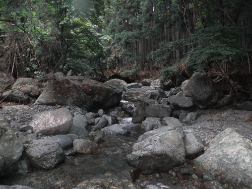 b0121015_13143193.jpg