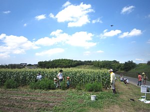 d0120421_18203959.jpg