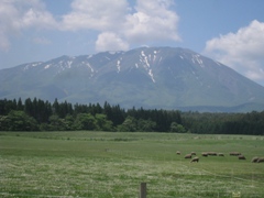 f0135222_22221368.jpg