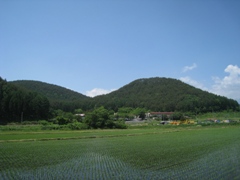 f0135222_22224733.jpg