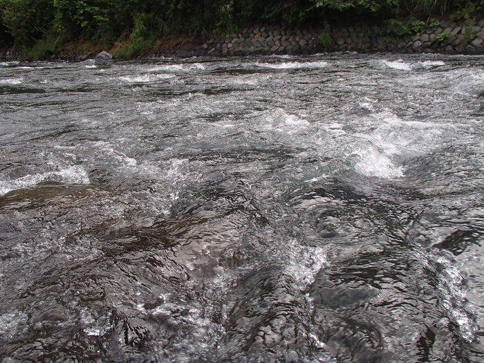 d0172227_1846044.jpg