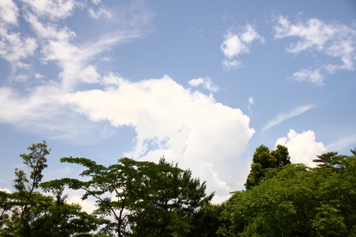 d0158028_1919384.jpg
