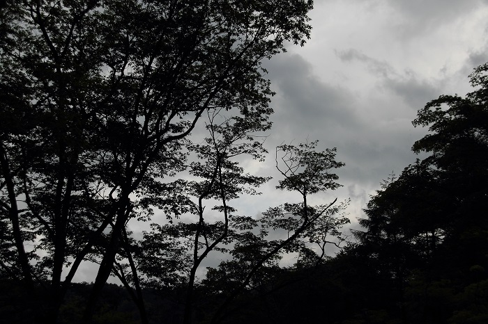 c0090530_2147949.jpg