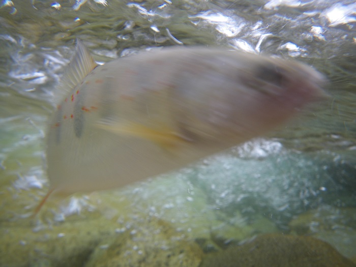 c0090530_21572464.jpg
