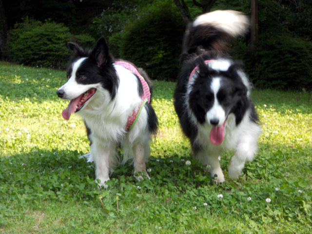 d0059230_98449.jpg