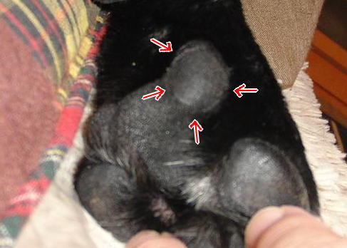 e0125131_16243532.jpg