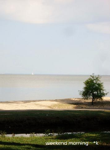 d0269832_511346.jpg