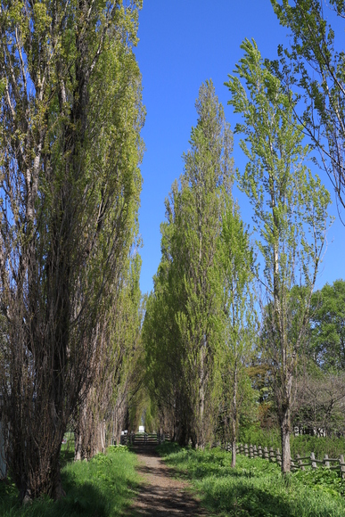 a0219537_2224638.jpg