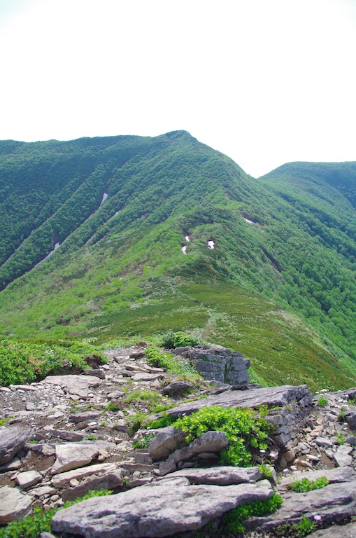 d0231339_1525899.jpg