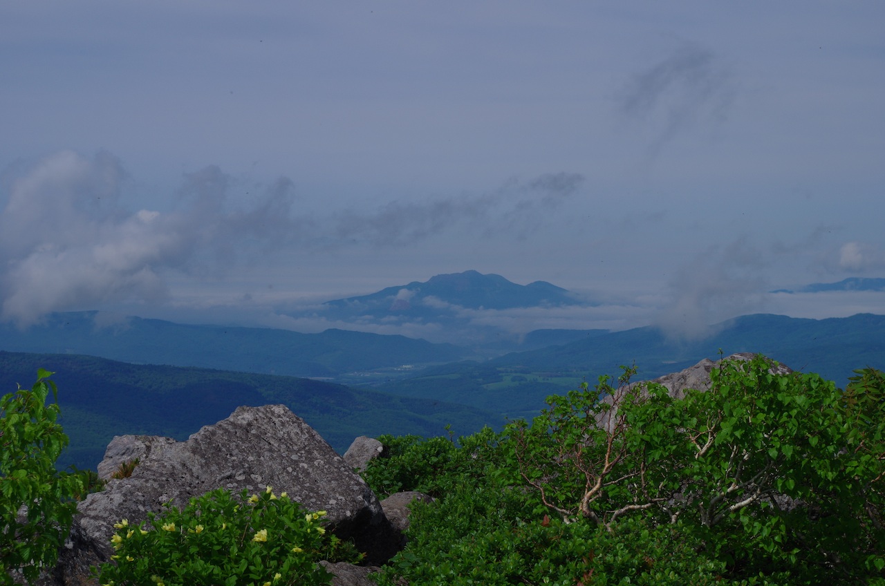 d0231339_15272355.jpg