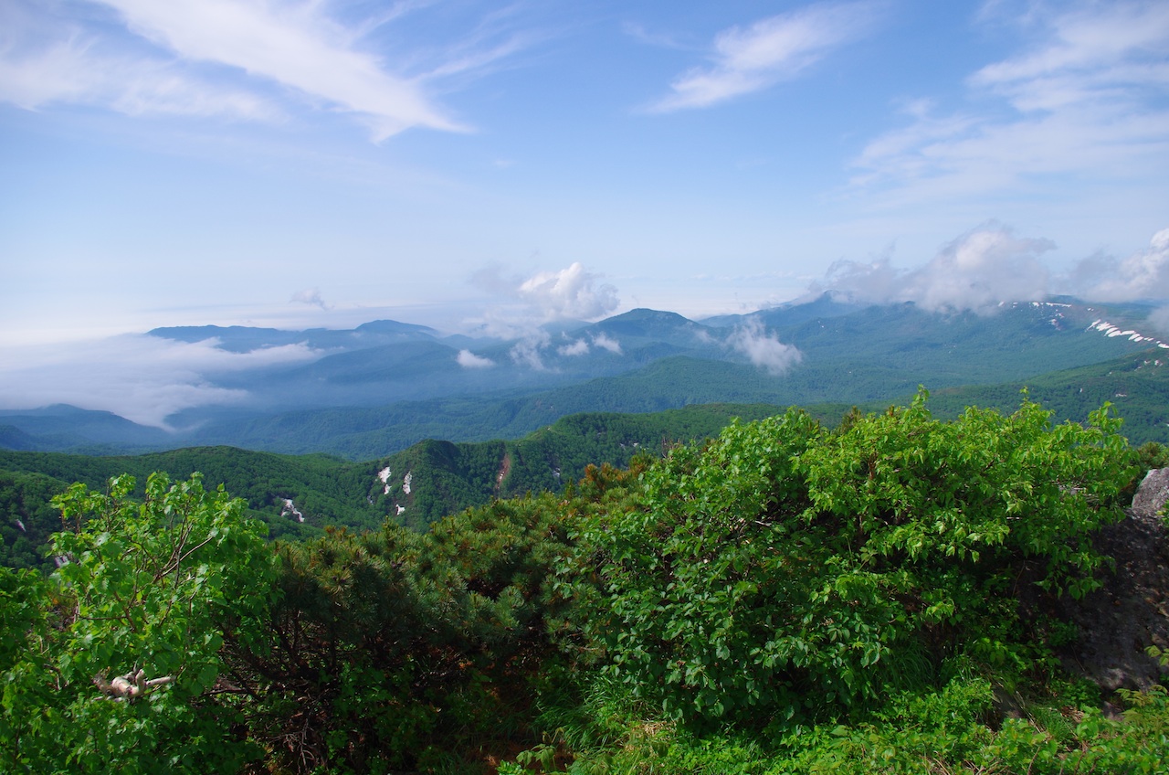 d0231339_15274743.jpg