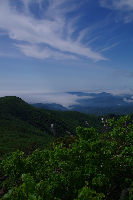 d0231339_15322691.jpg