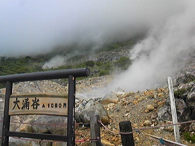 b0018242_838256.jpg