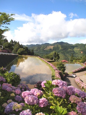 b0199742_20373145.jpg