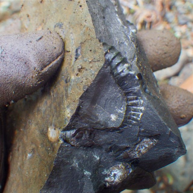 e0290546_23223921.jpg