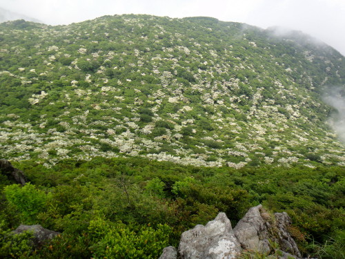 c0179351_18555817.jpg