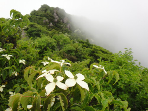 c0179351_18574939.jpg