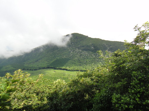 c0179351_1857726.jpg