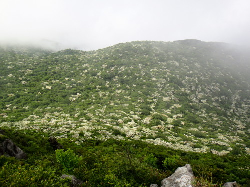 c0179351_18585347.jpg