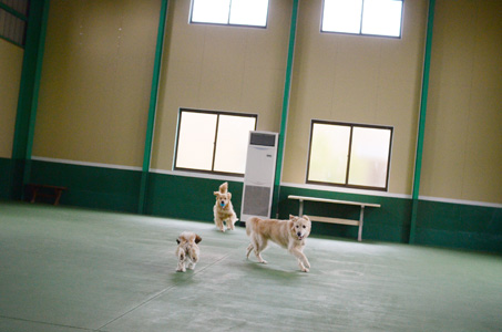 f0044853_23175895.jpg
