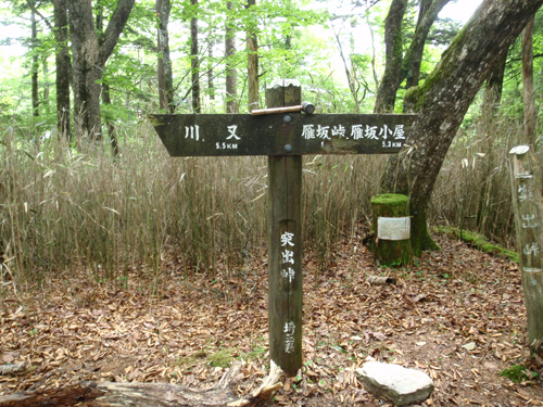 d0083859_19565346.jpg